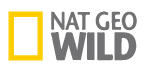 Nat Geo Wild Nat Geo Wild